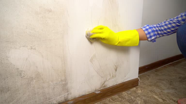 Best Asbestos and Lead Testing During Mold Inspection  in St Augustine South, FL