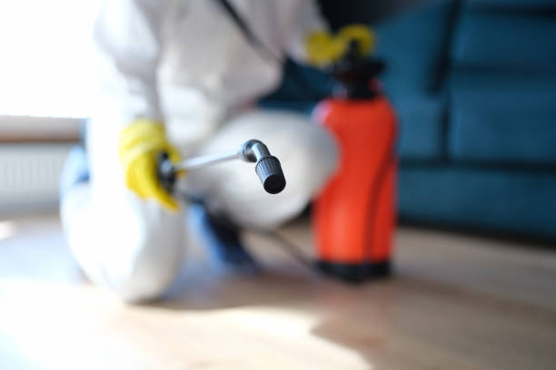 Best Industrial Mold Remediation  in St Augustine South, FL