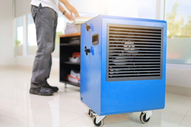 Best Air Quality Testing for Mold Spores  in St Augustine South, FL