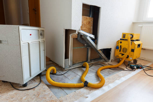 Best Mold Remediation for Healthcare Facilities  in St Augustine South, FL